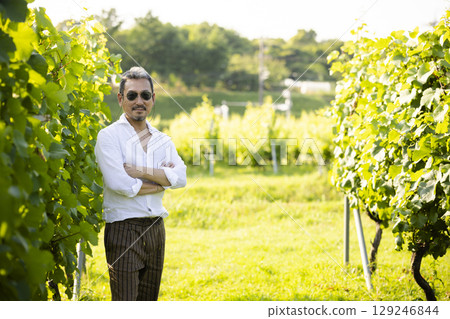 Man walking in vineyard Man walking in vineyard 129246844