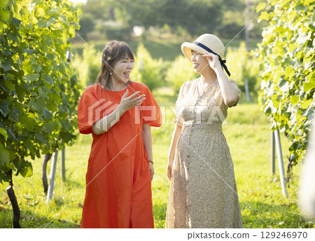 Two women walking through a vineyard 129246970
