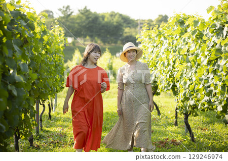 Two women walking through a vineyard 129246974