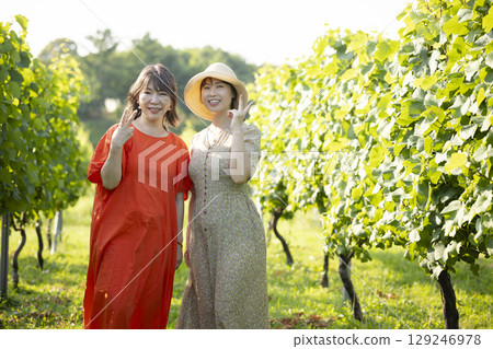 Two women walking through a vineyard 129246978