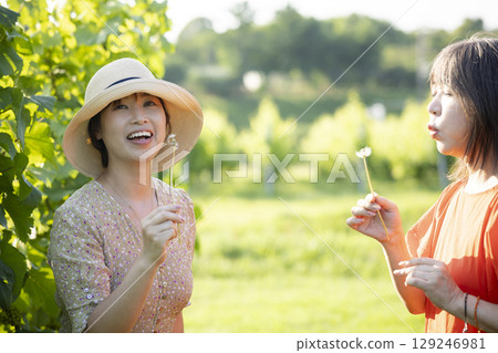 Two women walking through a vineyard Two women walking through a vineyard 129246981