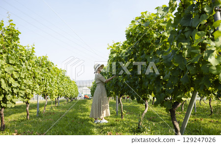 Woman walking through a vineyard Woman walking through a vineyard 129247026