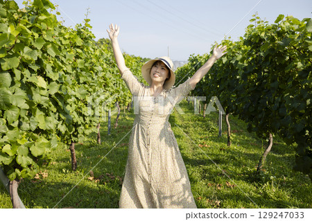 Woman walking through a vineyard 129247033