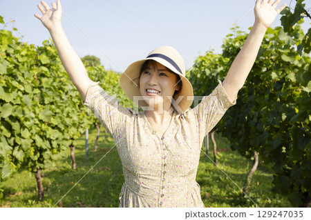 Woman walking through a vineyard 129247035