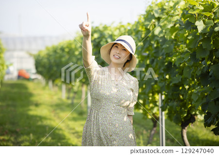 Woman walking through a vineyard 129247040