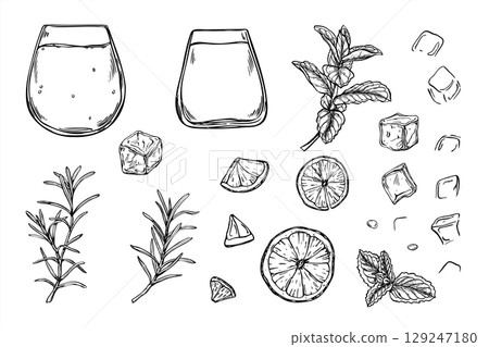 Ingredients for citrus mint beverage monochrome vector illustration clip art. Glasses, ice cubes, lemon slices, mint and rosemary sprigs etching drawing. For bar menus, summer party invitation. 129247180