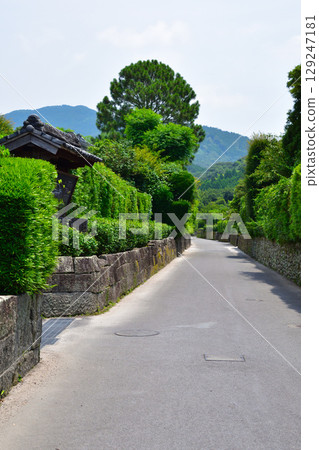 Turtle samurai residence group 129247181