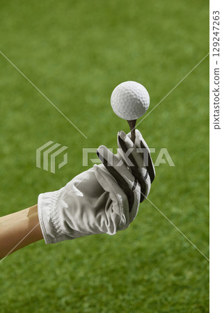Golf glove holding tee with ball above turf 129247263