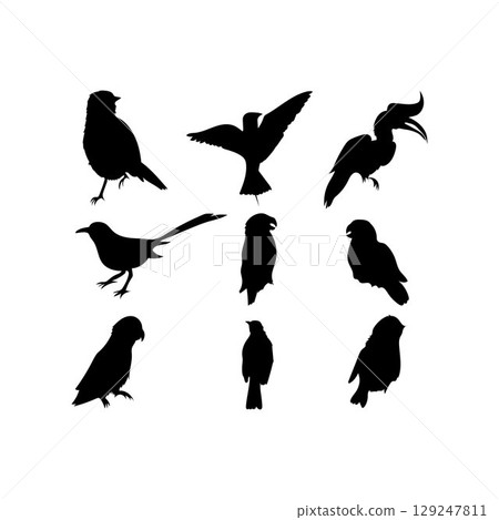 bird silhouette. 129247811