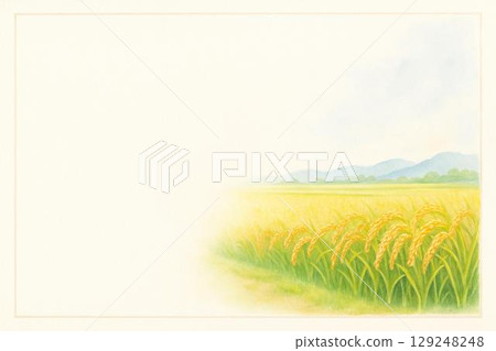 鏡框材質: 米耳 129248248