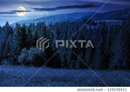 mountain landscape with fir forest on the hill in summer at night. hiking through beautiful nature scenery of alpine countryside in full moon light. scenic view of woodland under blue sky with clouds 129248411