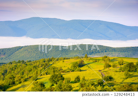 rural landscape with fog in summer. green meadow on the hill in morning light. beautiful countryside in carpathian mountains under blue sky with clouds. scenic view rural landscape with fog in summer. green meadow on the hill in morning light. beautiful countryside in carpathian mountains under blue sky with clouds. scenic view 129248413