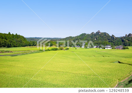 Tadameso Tadameso 129248539