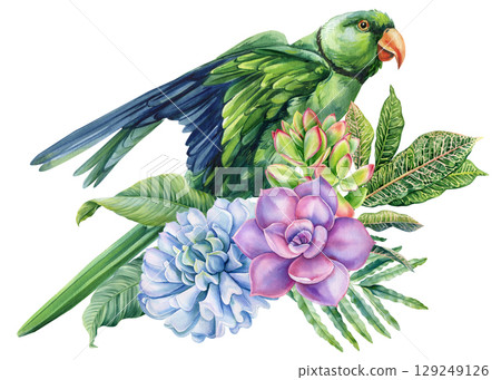 green parrot with blue wings and colorful succulents watercolor exotic bird with tropical leaves on white background green parrot with blue wings and colorful succulents watercolor exotic bird with tropical leaves on white background 129249126