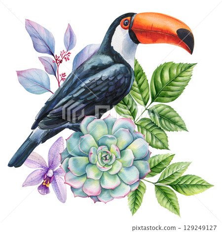 Tropical summer arrangement Toucan succulent orchid and tropical leaves in watercolor botanical composition on white background 129249127
