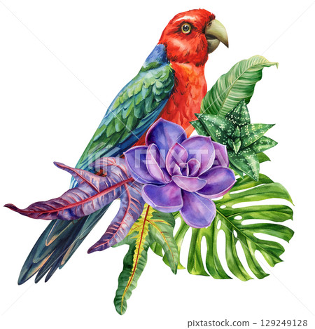 red and green parrot with purple succulent watercolor exotic bird with tropical monstera and croton leaves on white background 129249128