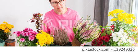 A 50-year-old woman transplanting autumn heather flowers into pots, enhancing her home terrace or balcony with vibrant seasonal decor, banner A 50-year-old woman transplanting autumn heather flowers into pots, enhancing her home terrace or balcony with vibrant seasonal decor, banner 129249326