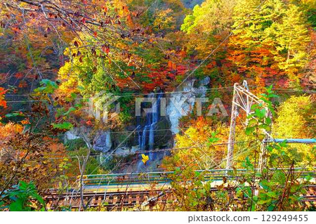 重城山 紅葉川溪谷 紅葉 黃葉 富士花瀑布 129249455