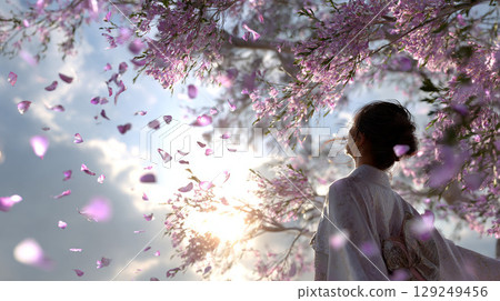 A spring poem wrapped in a flurry of cherry blossom petals 129249456