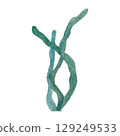 Hand painted watercolor algae on a white background. Ideal for postcards, printing on wallpaper, fabric 129249533