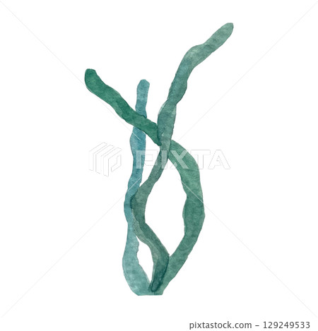 Hand painted watercolor algae on a white background. Ideal for postcards, printing on wallpaper, fabric 129249533