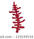 Hand painted watercolor algae on a white background. Ideal for postcards, printing on wallpaper, fabric 129249534