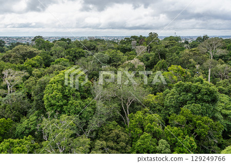 View from the tower of the Musa botanical garden. Manaus, Brazil. Natural beauty, Floresta Amazonica 129249766