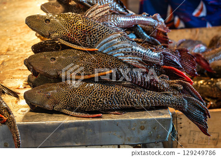 Feira Manaus Moderna in Manaus, Brazil. Popular fish market selling piranha, pirarucu and other typical Amazonian fish. 129249786