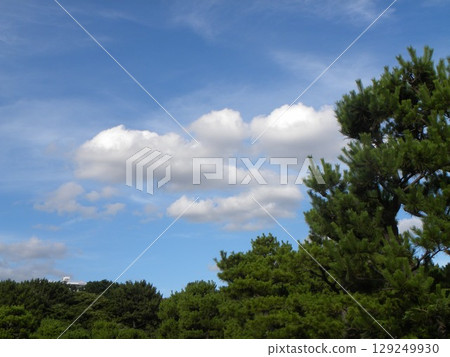 Blue sky and white clouds at Inage Seaside Park Blue sky and white clouds at Inage Seaside Park 129249930
