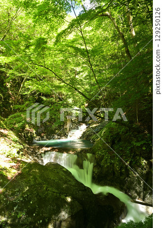 森林裡的瀑布 129250126