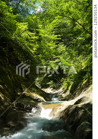 A waterfall surrounded by fresh greenery 129250134