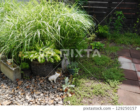 A garden accented with bellflowers 129250157