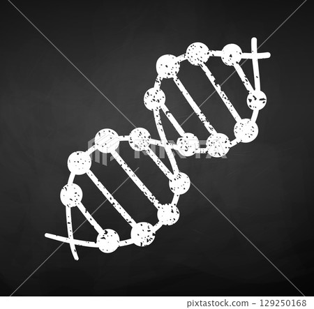 Vector illustration of chalk drawn DNA strand Vector illustration of chalk drawn DNA strand 129250168