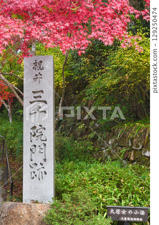 大原三千院階梯前美麗的秋葉(京都府京都市左京區) 大原三千院階梯前美麗的秋葉(京都府京都市左京區) 129250474