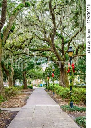 Forsyth Park Forsyth Park 129250536
