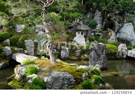 Shiga-in Temple Monzeki Garden with autumn leaves 129250654