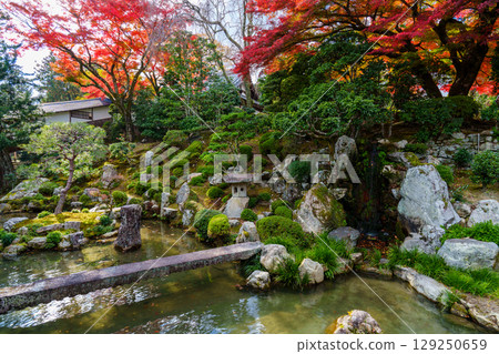 Shiga-in Temple Monzeki Garden with autumn leaves 129250659