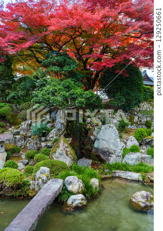Shiga-in Temple Monzeki Garden with autumn leaves 129250661