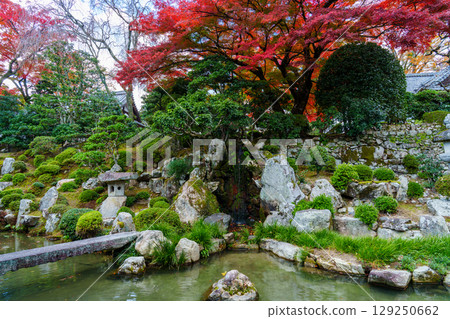 志賀院門跡花園的秋葉 129250662