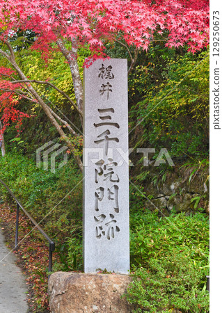 Beautiful autumn leaves in front of the stairs at Sanzenin Temple in Ohara (Sakyo Ward, Kyoto City, Kyoto Prefecture) 129250673