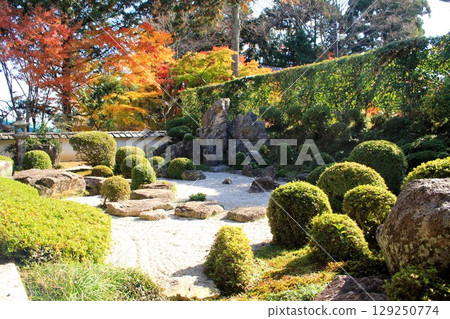 Autumn leaves in Saikyoji Temple Garden 129250774