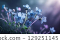 溫柔的淡藍色勿忘我 129251145