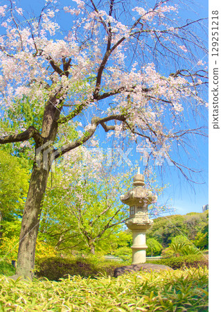 [愛知縣] 名古屋市東區德川園 129251218