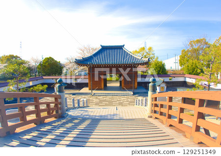 [愛知縣] 丹羽郡大口町堀裡公園的櫻花 129251349