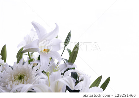 White Lily No.3 129251466