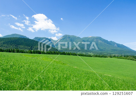 Ku Seitama in the summer 129251607