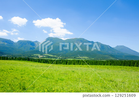 Ku Seitama in the summer 129251609