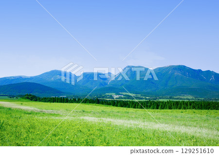 Ku Seitama在夏天 129251610