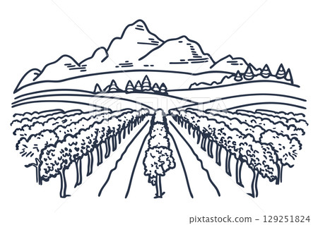 Vineyard rows with mountains in background hand drawn line landscape, agricultural wine field, rural scenery, AI Generative 129251824