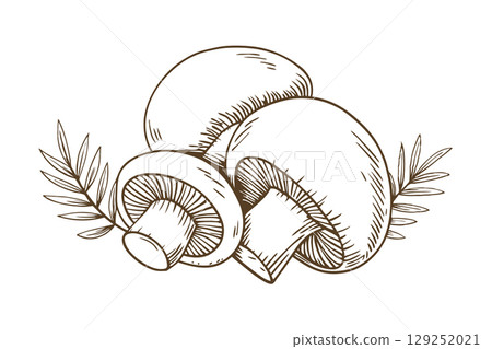 Fresh champignon mushrooms with leaves edible fungi harvest, organic vegetarian ingredients isolated, outline sketch, AI Generative 129252021